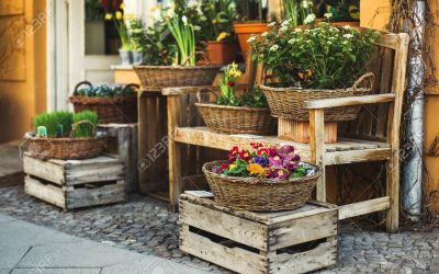 Flores, letras e ofertas, na Primavera de Santiago Centro